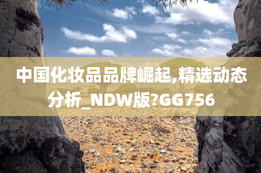 中国化妆品品牌崛起,精选动态分析_NDW版?GG756