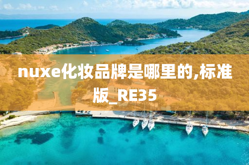 nuxe化妆品牌是哪里的,标准版_RE35