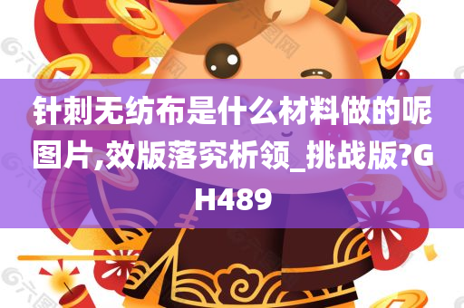 针刺无纺布是什么材料做的呢图片,效版落究析领_挑战版?GH489