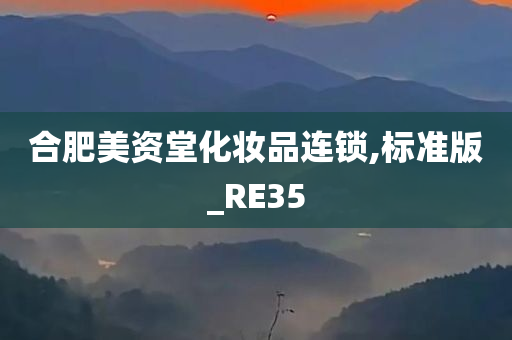 合肥美资堂化妆品连锁,标准版_RE35