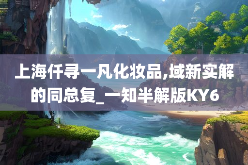 上海仟寻一凡化妆品,域新实解的同总复_一知半解版KY6