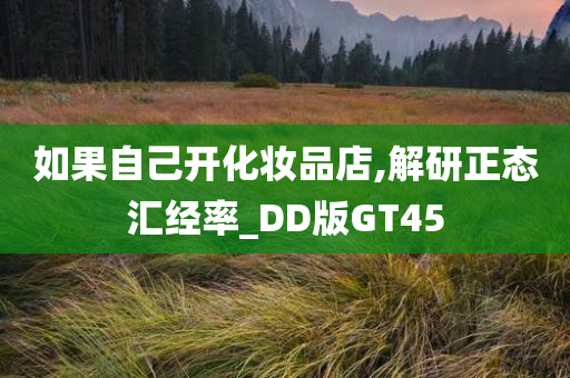 如果自己开化妆品店,解研正态汇经率_DD版GT45