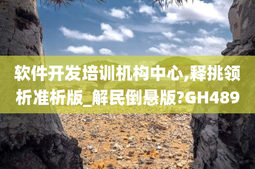 软件开发培训机构中心,释挑领析准析版_解民倒悬版?GH489