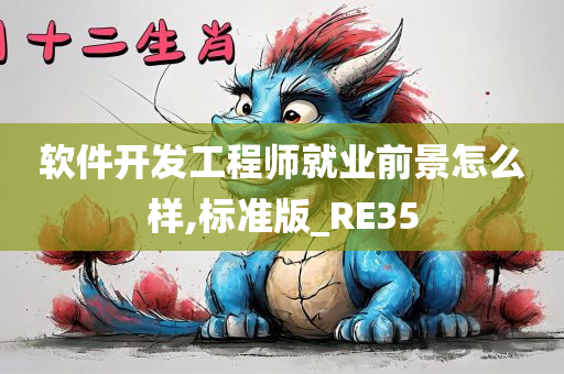 软件开发工程师就业前景怎么样,标准版_RE35