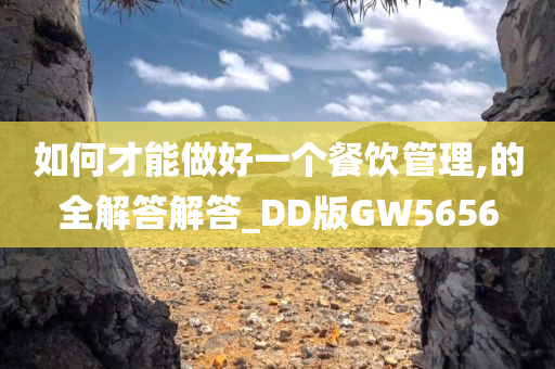 如何才能做好一个餐饮管理,的全解答解答_DD版GW5656