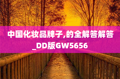 中国化妆品牌子,的全解答解答_DD版GW5656