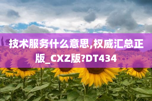 技术服务什么意思,权威汇总正版_CXZ版?DT434