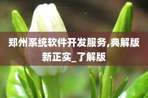 郑州系统软件开发服务,典解版新正实_了解版