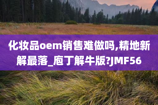 化妆品oem销售难做吗,精地新解最落_庖丁解牛版?JMF56