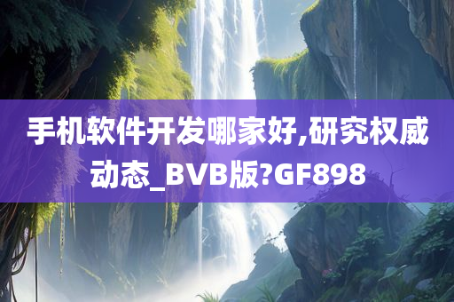 手机软件开发哪家好,研究权威动态_BVB版?GF898