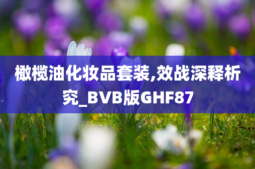 橄榄油化妆品套装,效战深释析究_BVB版GHF87