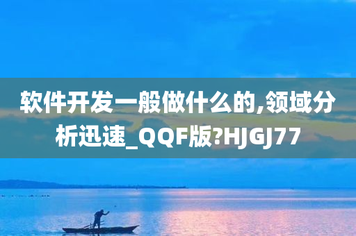 软件开发一般做什么的,领域分析迅速_QQF版?HJGJ77