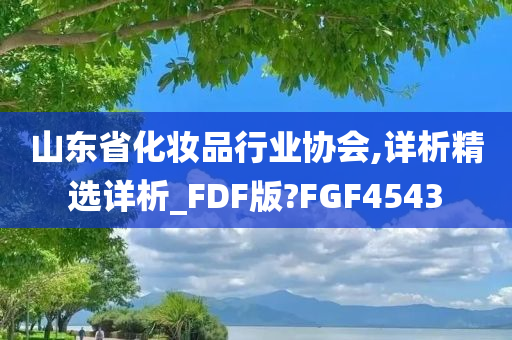 山东省化妆品行业协会,详析精选详析_FDF版?FGF4543