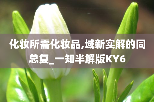 化妆所需化妆品,域新实解的同总复_一知半解版KY6