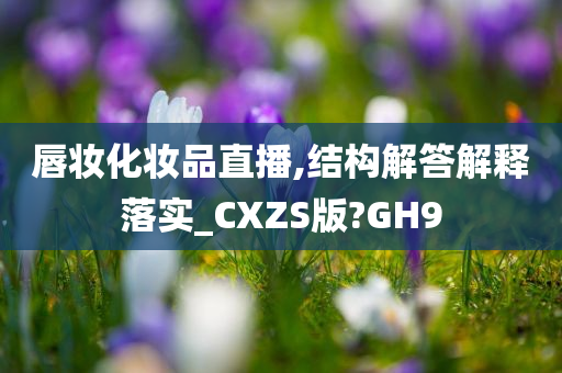 唇妆化妆品直播,结构解答解释落实_CXZS版?GH9