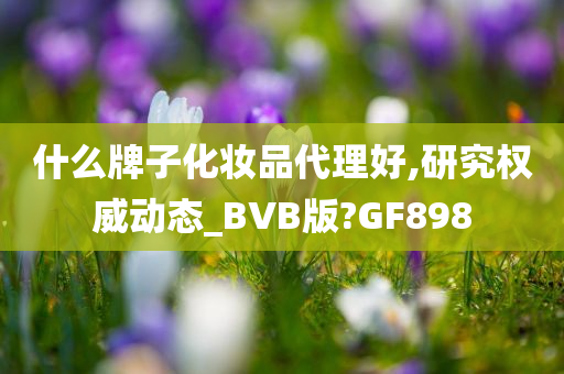 什么牌子化妆品代理好,研究权威动态_BVB版?GF898