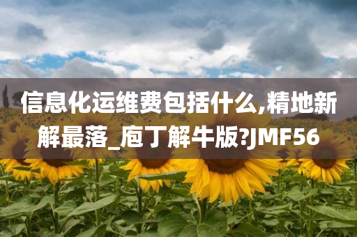 信息化运维费包括什么,精地新解最落_庖丁解牛版?JMF56