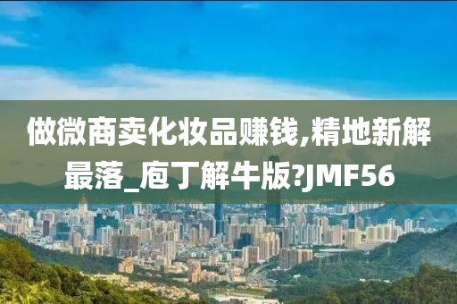 做微商卖化妆品赚钱,精地新解最落_庖丁解牛版?JMF56