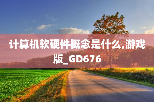 计算机软硬件概念是什么,游戏版_GD676