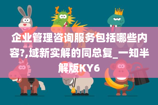 企业管理咨询服务包括哪些内容?,域新实解的同总复_一知半解版KY6