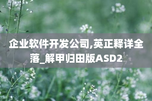 企业软件开发公司,英正释详全落_解甲归田版ASD2