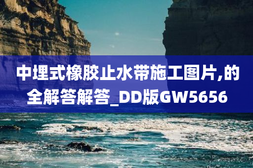 中埋式橡胶止水带施工图片,的全解答解答_DD版GW5656