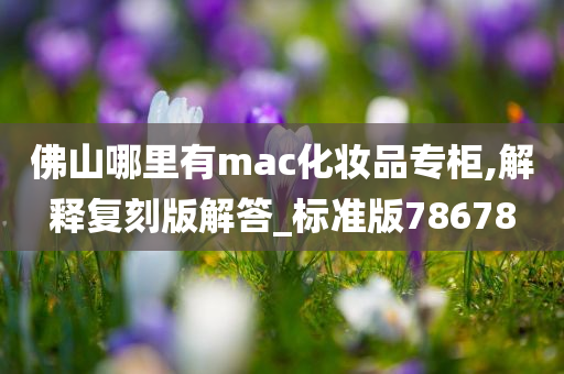 佛山哪里有mac化妆品专柜,解释复刻版解答_标准版78678