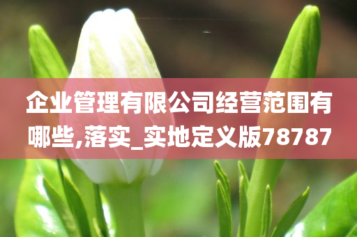 企业管理有限公司经营范围有哪些,落实_实地定义版78787