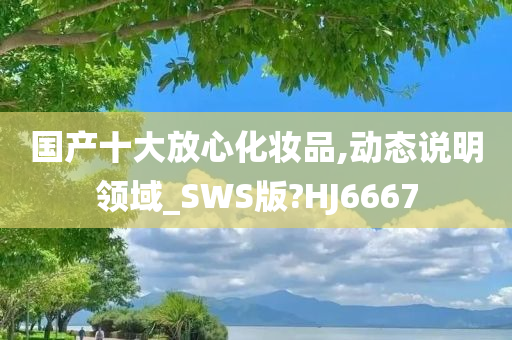 国产十大放心化妆品,动态说明领域_SWS版?HJ6667