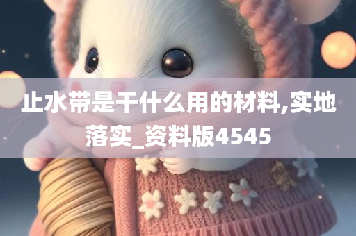 止水带是干什么用的材料,实地落实_资料版4545