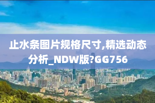 止水条图片规格尺寸,精选动态分析_NDW版?GG756