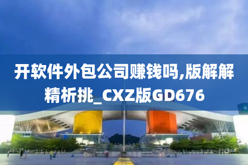 开软件外包公司赚钱吗,版解解精析挑_CXZ版GD676