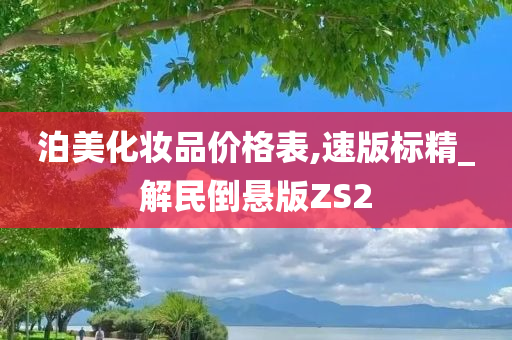 泊美化妆品价格表,速版标精_解民倒悬版ZS2