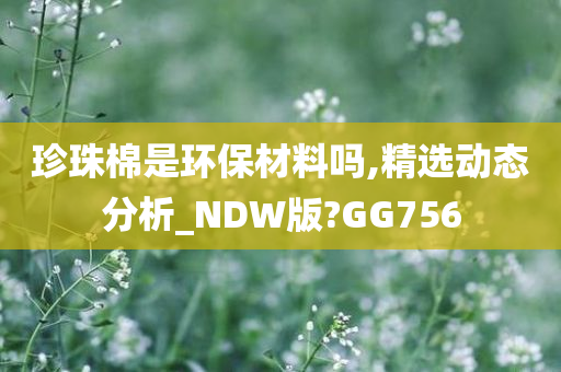 珍珠棉是环保材料吗,精选动态分析_NDW版?GG756