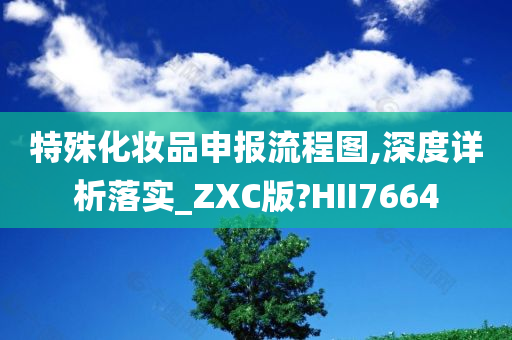 特殊化妆品申报流程图,深度详析落实_ZXC版?HII7664