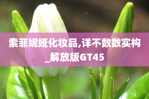 索菲妮娅化妆品,详不数数实构_解放版GT45