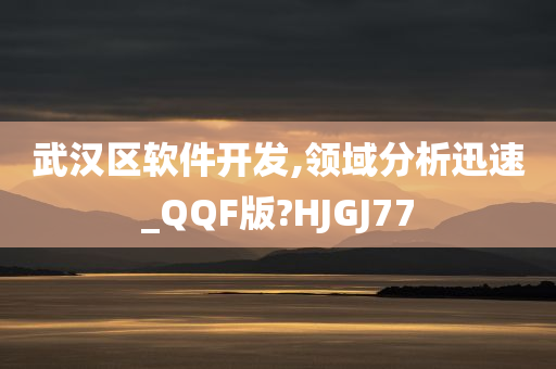 武汉区软件开发,领域分析迅速_QQF版?HJGJ77