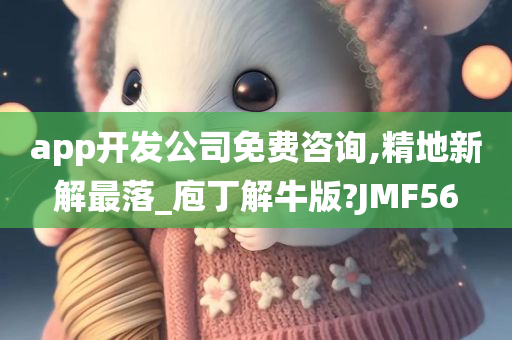 app开发公司免费咨询,精地新解最落_庖丁解牛版?JMF56