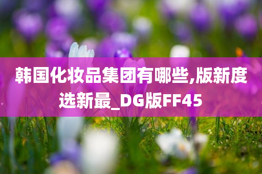 韩国化妆品集团有哪些,版新度选新最_DG版FF45