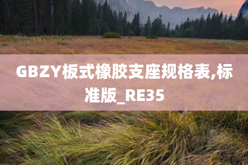 GBZY板式橡胶支座规格表,标准版_RE35