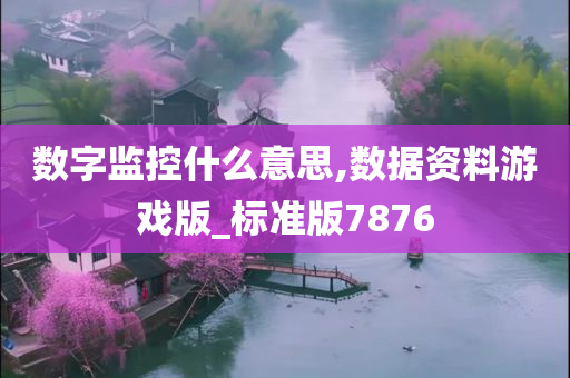 数字监控什么意思,数据资料游戏版_标准版7876