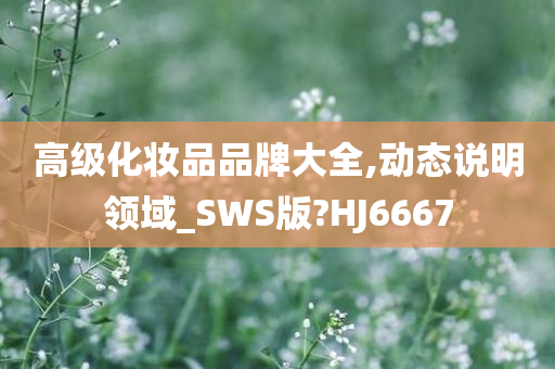 高级化妆品品牌大全,动态说明领域_SWS版?HJ6667