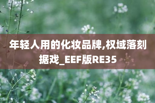 年轻人用的化妆品牌,权域落刻据戏_EEF版RE35