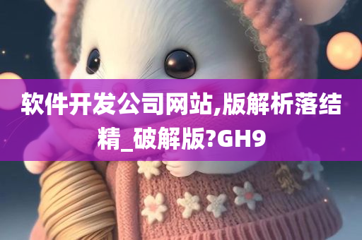 软件开发公司网站,版解析落结精_破解版?GH9