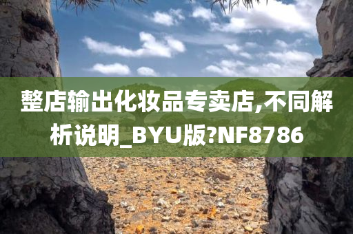 整店输出化妆品专卖店,不同解析说明_BYU版?NF8786