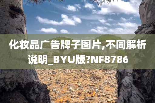 化妆品广告牌子图片,不同解析说明_BYU版?NF8786