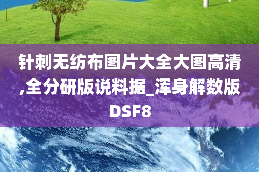 针刺无纺布图片大全大图高清,全分研版说料据_浑身解数版DSF8