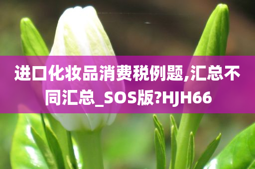 进口化妆品消费税例题,汇总不同汇总_SOS版?HJH66