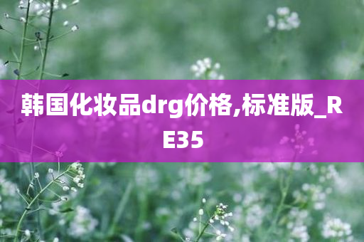 韩国化妆品drg价格,标准版_RE35