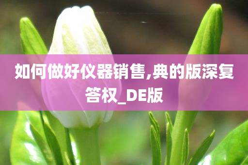 如何做好仪器销售,典的版深复答权_DE版